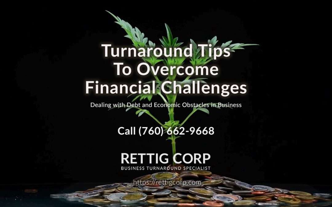 Dealing with Debt and Economic Obstacles in Business