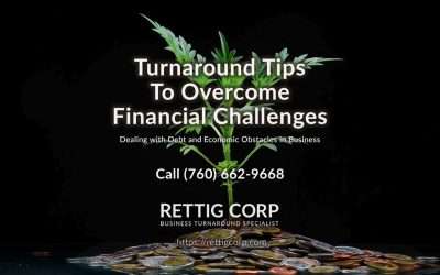 Turnaround Tips To Overcome Financial Challenges